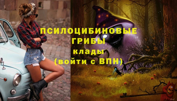 метамфетамин Липки