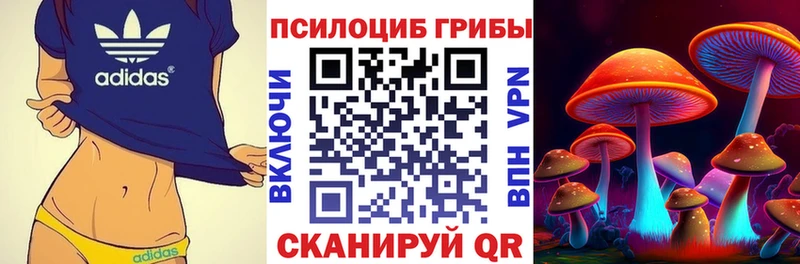 Галлюциногенные грибы MAGIC MUSHROOMS где купить наркоту Ядрин